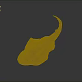 Brown Flat Ray With Long Tail Displayed As Specimen On Dark Surface