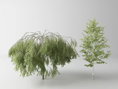 Tall Arbor Display With Weeping Willow And Birch Tree Green Foliage 3d model