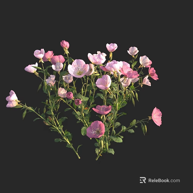 Blooming Pink And White Flowers With Lush Green Leaves And Stems 3d model 