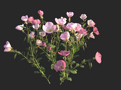 Blooming Pink And White Flowers With Lush Green Leaves And Stems 3d model