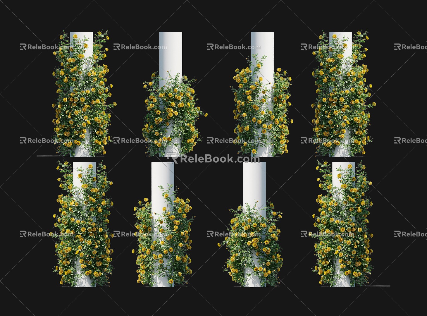 Modern Rose Rose Vine Green Plant Climbing Rose Wall Green Plant Wall Grassland Rose Climbing Vine Flower Wall Green Plant Wall Climbing Vine Rose Rose Wall 3d model