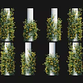 Green Vines With Yellow Flowers Wrapping Around White Decorative Vertical Columns