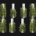 Modern Rose Rose Vine Green Plant Climbing Rose Wall Green Plant Wall Grassland Rose Climbing Vine Flower Wall Green Plant Wall Climbing Vine Rose Rose Wall 3d model