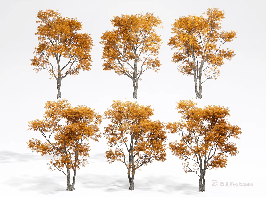 Arbor Trees With Orange Yellow Leaves In Different Shapes For Autumn Landscape 3d model 