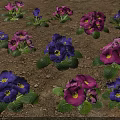 Vibrant Purple and Pink Flowering Plants with Green Leaves Growing in Soil