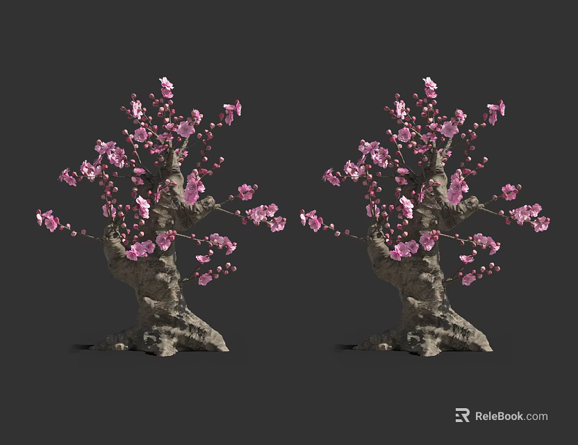 Two Ornamental Arbor Trees with Pink Blossoms and Gnarled Trunks 3d model 