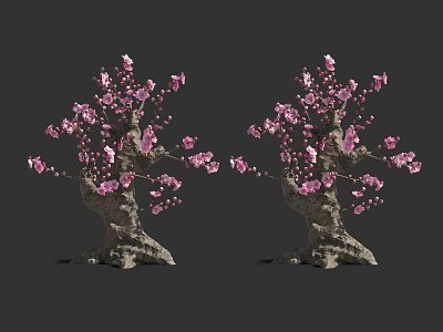 Two Ornamental Arbor Trees with Pink Blossoms and Gnarled Trunks 3d model