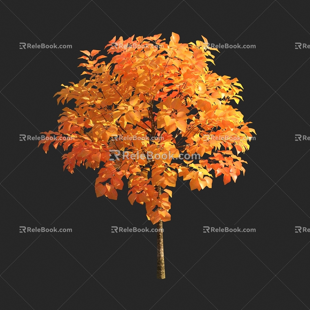 autumn tree yellow leaf plant model