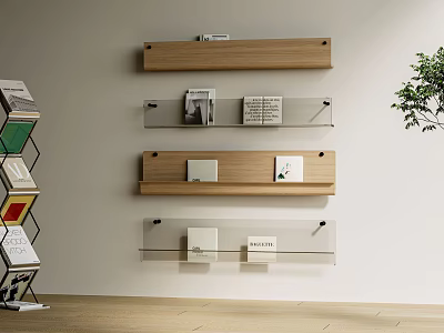 Modern Interior Featuring Stylish Wooden And Glass Wall Cabinets Holding Books Magazines And Plant 3d model