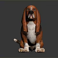 Basset Hound Dog With Orange Brown And Black Coat Sitting On Dark Background