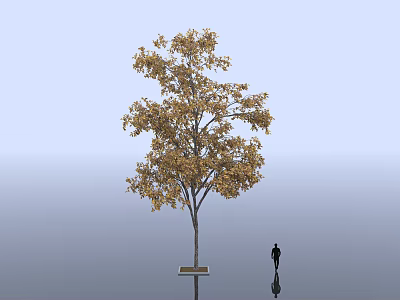 Golden Leafed Arbor with Silhouette Figure Against Blue Sky and Gray Ground 3d model