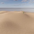 Stunning Desert Landscape With Rolling Sand Dunes Blue Sky White Clouds And Distant Green Plants