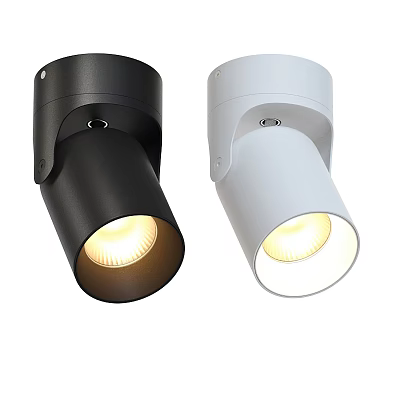 Modern Black And White Downlights With Sleek Design For Interior Lighting 3d model