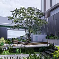 Modern Garden Landscape With Large Tree Green Plants Seating Steps And Water Feature