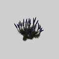 Stunning Purple Flower Cluster With Lush Green Leaves And Fresh Blooms