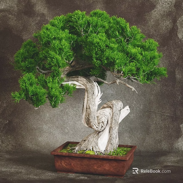 Lush Green Bonsai Plant with Twisted White Bark and Foliage in Wooden Square Pot 3d model 