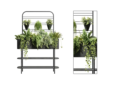 Bonsai and Potted Plants Displayed on Multi tiered Black Metal Shelf with Hanging Vines 3d model