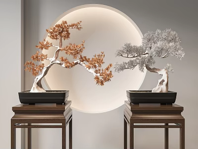 Two Bonsai Trees With Orange Silver Leaves In Black Pots On Wooden Stands Light Background 3d model