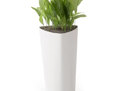 Green Leafy Potted Plant in White Tall Pot for Indoor Home Decoration 3d model
