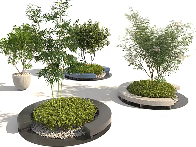 Outdoor Tree Pits With Circular Design Small Trees Green Shrubs And Gravel 3d model