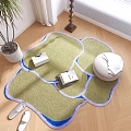 Stylish Shaped Green Rug with Blue Purple Edges and White Pouf Books on Wooden Floor