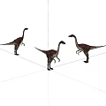 Three Brown And White Dinosaur Models In Different Poses On White Background 3d model