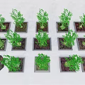 Multiple Tree Planters With Green Plants In Various Shapes And Orderly Arrangement 3d model