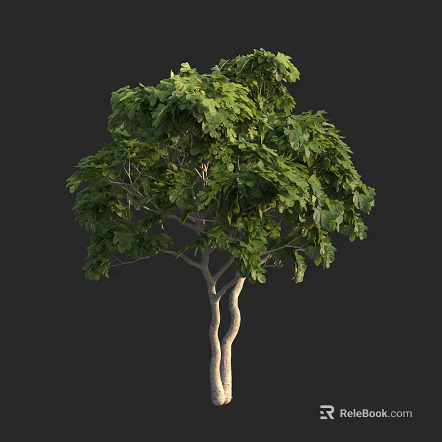 Arbor With Lush Green Leaves And Slender Trunk On Dark Background 3d model 