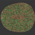 Green Grass on Circular Surface with Gray Stone Path and Small Lawn Design