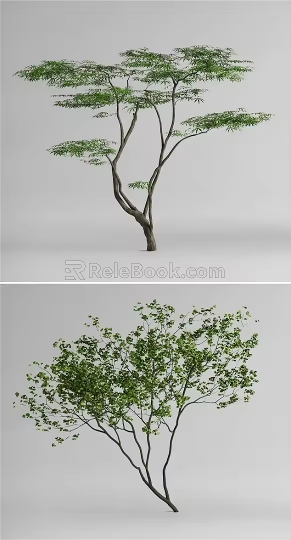 Landscape tree, modeling tree, arbor 3d model
