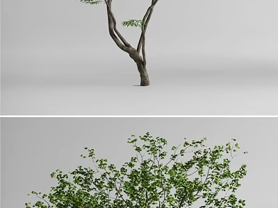 Garden Landscape Featuring Curved Trunk Tree With Lush Green Leaves And Dense Branches 3d model