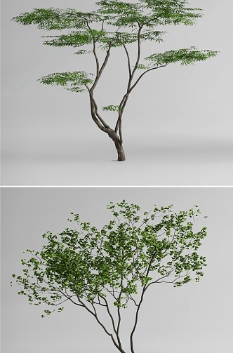 Landscape tree, modeling tree, arbor 3d model