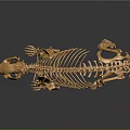 Golden Animal Skeleton in Standing Pose on Dark Background with Reflection