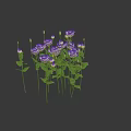 Vibrant Blooming Purple Flowers With Green Stems And Leaves Clustered Together