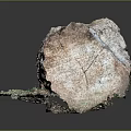 Natural Wooden Log with Green Moss and Stone Pebbles on Display Base