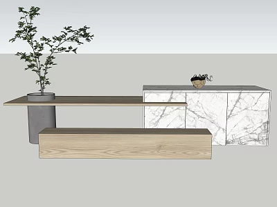 Modern Entryway With Wooden Counter Bench And Marble Cabinet Plant Decor 3d model