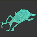 Green and Blue Patterned Beetle with Long Antennae and Detailed Legs on Dark Background