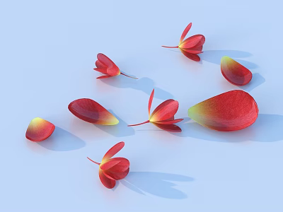 Red and yellow flower petals scattered on soft light blue background 3d model
