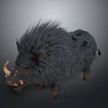 Wild Boar With Fluffy Dark Fur And Prominent Curved Tusks Standing Against Dark Background