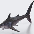 Spin-tooth shark, ancient creature, ancient animal 3d model