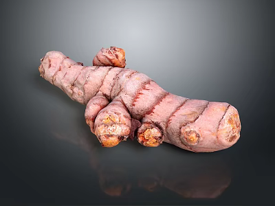 Fresh Purple Ginger Root with Natural Pinkish Skin and Textured Surface on Dark Background 3d model