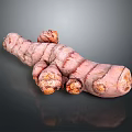 Fresh Purple Ginger Root with Natural Pinkish Skin and Textured Surface on Dark Background
