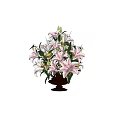 Beautiful Pink And White Lilies In Brown Vase With Green Leaves