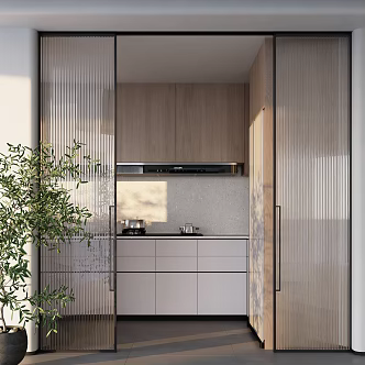 Modern minimalist Changhong kitchen and bathroom glass sliding door 3d model