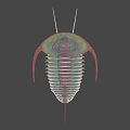 3D Rendered Trilobite With Green Red Body Long Antennae And Exoskeleton