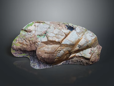 Natural Wood Stone Material Textured Surface With Cracked Patterns And Earthy Tones 3d model