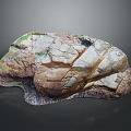 Natural Wood Stone Material Textured Surface With Cracked Patterns And Earthy Tones