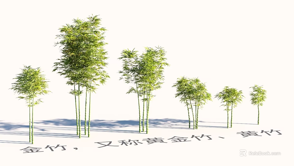 Lush Garden Landscape With Multiple Golden Bamboo Trees And Green Foliage 3d model 