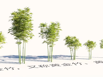 Lush Garden Landscape With Multiple Golden Bamboo Trees And Green Foliage 3d model
