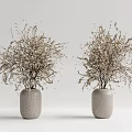 Two Textured Gray Vases with Dried Flowers on White Minimalist Background